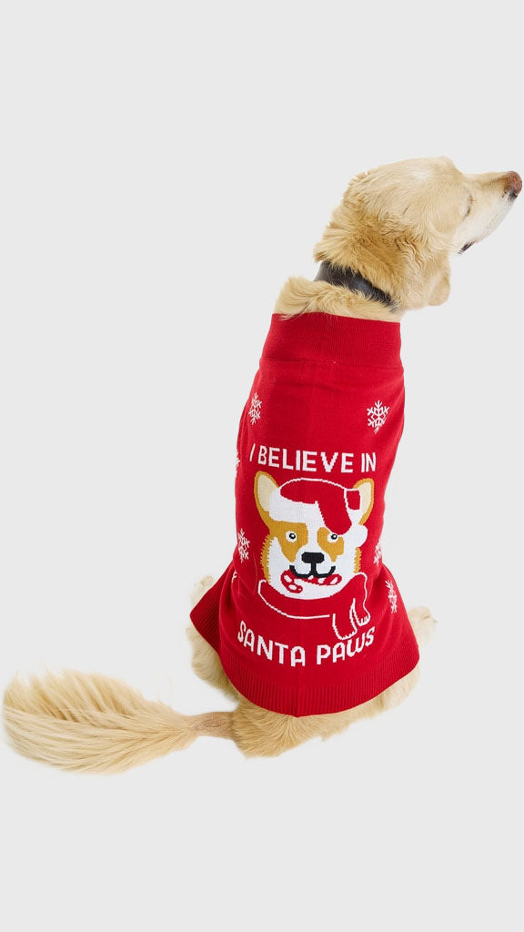 Santa paws hunde julesweater